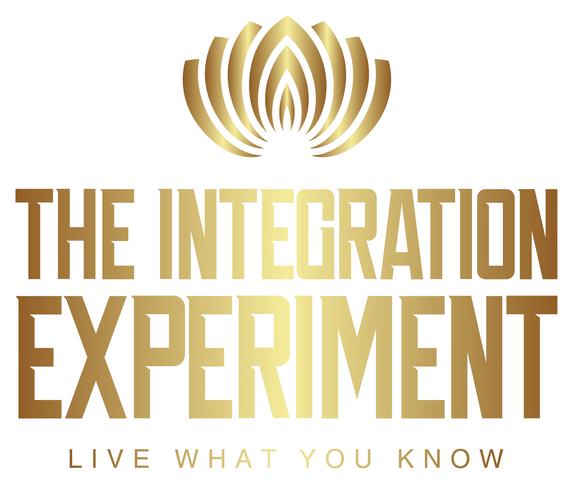 The Integration Experiment logo